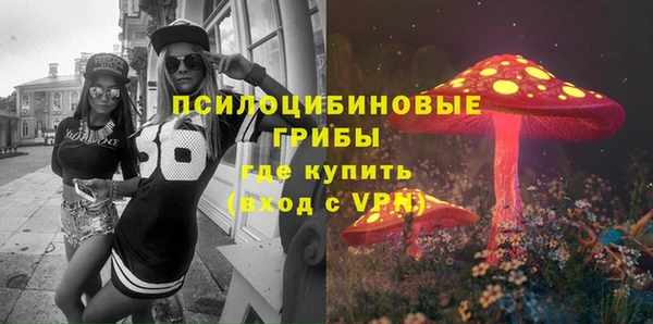 молекула духа Алзамай
