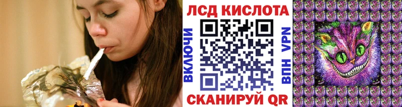 где можно купить   Трубчевск  Марки NBOMe 1,5мг 